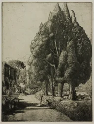 Der Zypressenhain