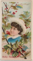 Stechpalme: Voraussicht, aus der Serie Floral Beauties and Language of Flowers N75 für Duke, 1892