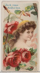 Schüchterne Liebe, aus der Serie Blumen-Schönheiten und Blumensprache