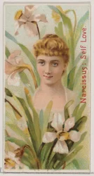 Narziss: Selbstliebe, aus der Serie Blumen-Schönheiten und Sprache der Blumen N75 für Du..., 1892