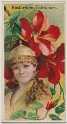 Kapuzinerkresse: Patriotismus, aus der Serie Blumenschönheiten und Blumensprache N75 für