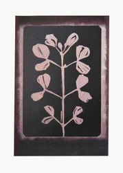 Dunkle botanische Silhouette
