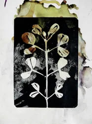 Erdige Botanische Form