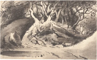 Waldlandschaft