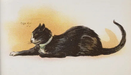 Eine Katze