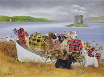 Schafe mit Tartan, 1999