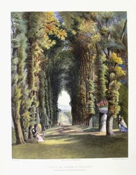 Aussicht in den Gärten von Teddesley, Sitz des ehrenwerten Lord Hatherton, 1857