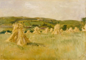 Ein Kornfeld in Carmarthenshire