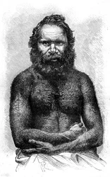 Australischer Aborigine, 1886