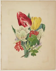 Tulpenstrauß, aus Floras Wörterbuch, 1838