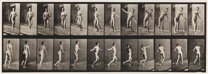 Tafel 289. Cricket; Rundarm-Bowling, 1885