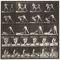 Tafel 333. Boxen; 53 schlägt 52 nieder (Schuhe)