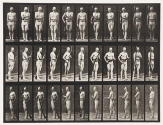 Tafel 351. Bajonette fixieren und lösen, 1872-1885