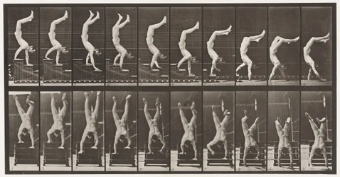 Tafel 368. Akrobat, Treppe auf Händen hinuntergehen