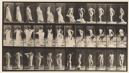 Tafel 431. Toilette; Kleidung ausziehen