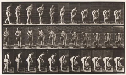 Tafel 446. Krug auf dem Boden aus einem Wasserkrug füllen