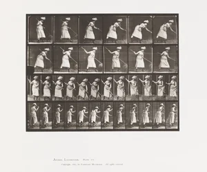 Tafel 456. Heu rechen, 1885