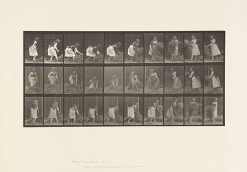 Tafel 458. Heuhaufen heben, drehen, werfen