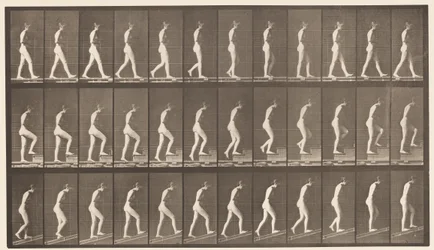 Tafel 482. A, Gehen; B, Treppen steigen; C, Abwärts geneigt