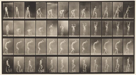 Rasen-Tennis; Hanteln; auf Händen gehen