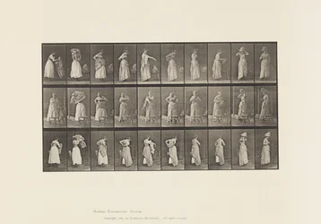 Tafel 495. Verschiedene Phasen der Toilette