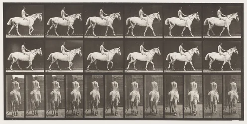 Tafel 581. Gehen; Ohne Sattel; Reiter, 43, nackt; Hellgraues Pferd Smith, 1885