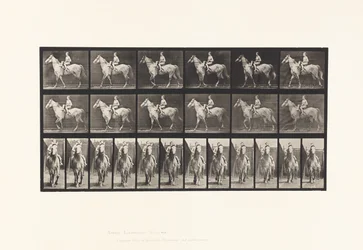 Tafel 583. Gehen; Sattel; Reiterin; Akt; graues Pferd, hellbraun, 1885