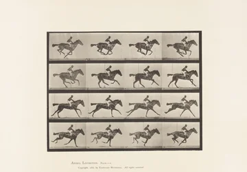 Tafel 626. Galopp; Vollblut Braune Stute Annie G.