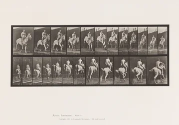 Tafel 646. Ein Hindernis überspringen; Sattel; Reiter, 105, Akt;, 1885