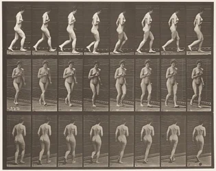 Tafel 70. Laufen, 1872-1885
