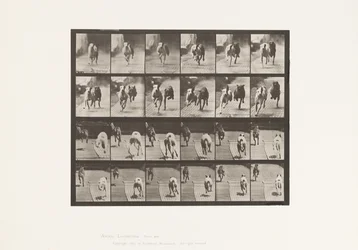 Tafel 711. Hunde; Zwei Rennen; A, B; Rennhunde, Ike & Maggie