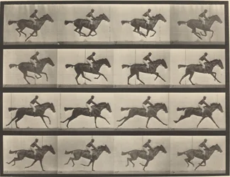 Platte Nummer 626. Galopp, Vollblut-Braune Stute, Annie G.