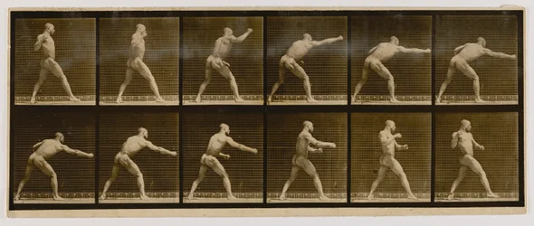 Boxer, der einen Schlag ausführt, aus dem Buch Animal Locomotion