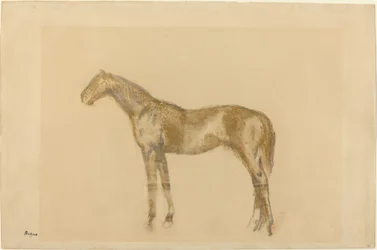 Pferd