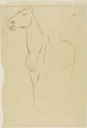 Pferd im Dreiviertelprofil