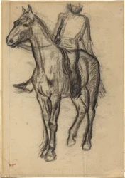 Pferd und Reiter