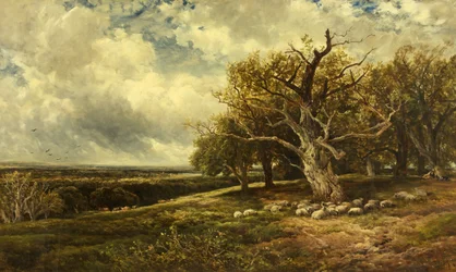 Landschaft - Über das Tal