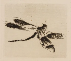 Libelle, Tafel 1 aus Le Fleuve