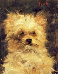 Kopf eines Hundes - Bob, 1876