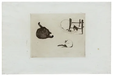 Die Katzen