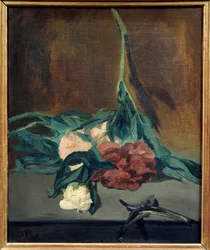 Pfingstrosen und Gartenschere