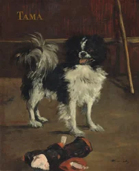 Tama, der japanische Hund, ca. 1875