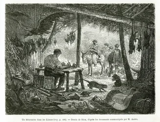 Ein Präparationslabor im Urwald, in der Region Llanos (Kolumbien), Zeichnung von Riou, zur Illustration der Geschichte von Equinoxiale America (Kolumbien, Ecuador, Peru), 1875-1876, von Ed. Andre, Reisemission beauftragt von der französischen Regierung. Gr