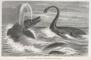 Ideale Szene des Lias mit Ichthyosaurus und Plesiosaurus