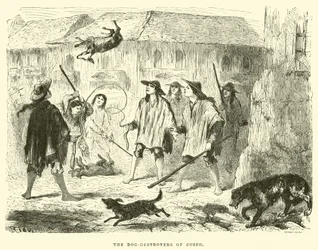 Die Hundevernichter von Cuzco