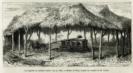 Die Trapiche, oder Zuckermühle zum Mahlen der Zuckerrohre in Panche (Kolumbien), Zeichnung von Riou, zur Illustration der Geschichte von Äquatorialamerika (Kolumbien, Ecuador, Peru), 1875-1876, von Ed. Andre, Reisender im Auftrag der französischen Regierun