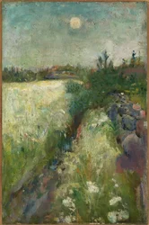 Blumenwiese bei Veierland