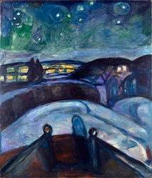 Sternennacht. Nachtlandschaft in Nordeuropa