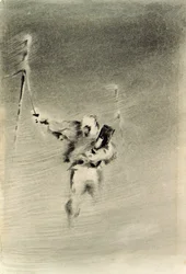 Beobachtungen in einem Schneesturm