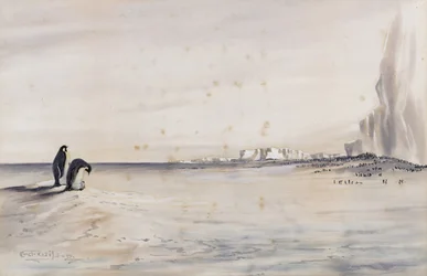 Die Kaiserpinguin-Kolonie, Cape Crozier